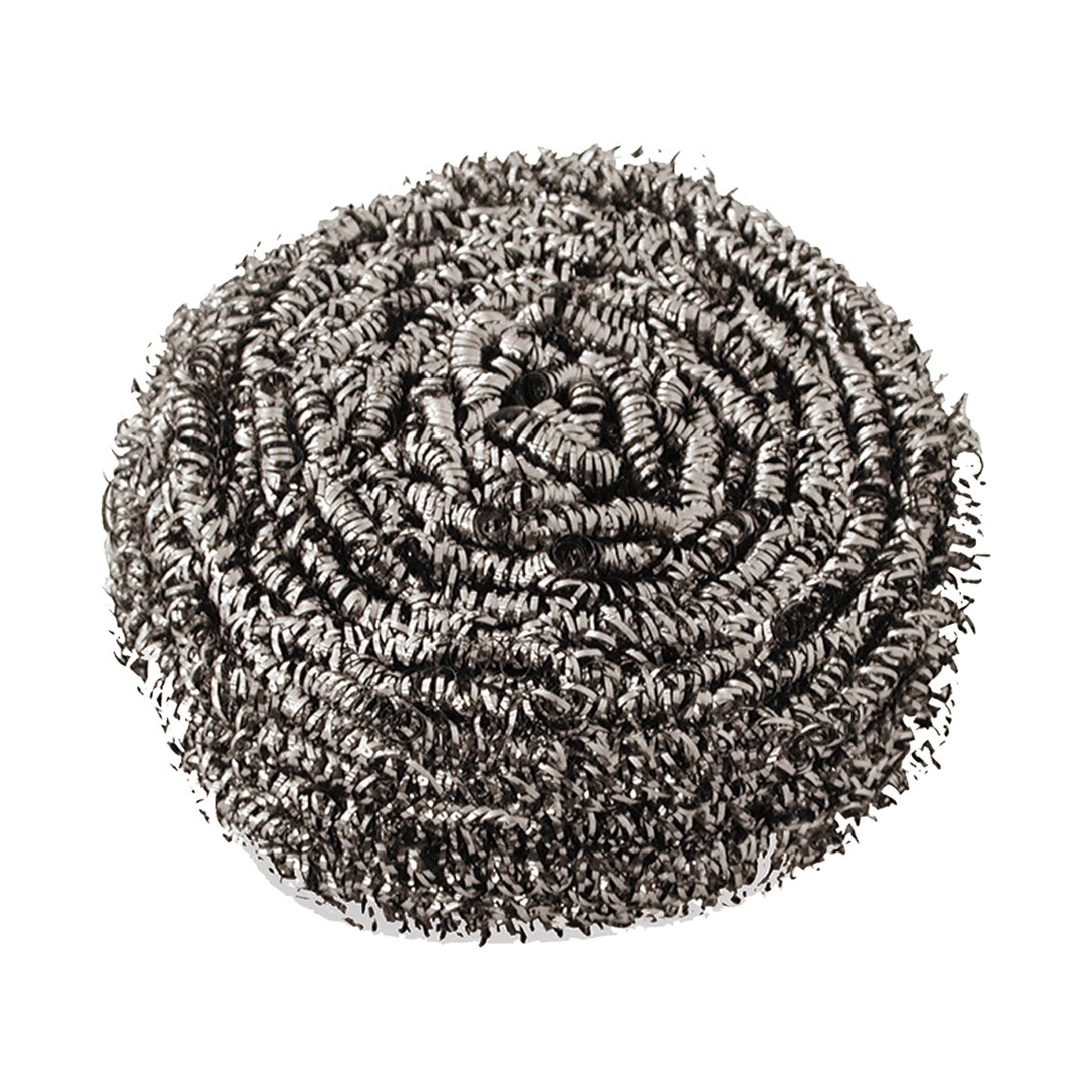 Stainless Steel Scourers 50gm (each)