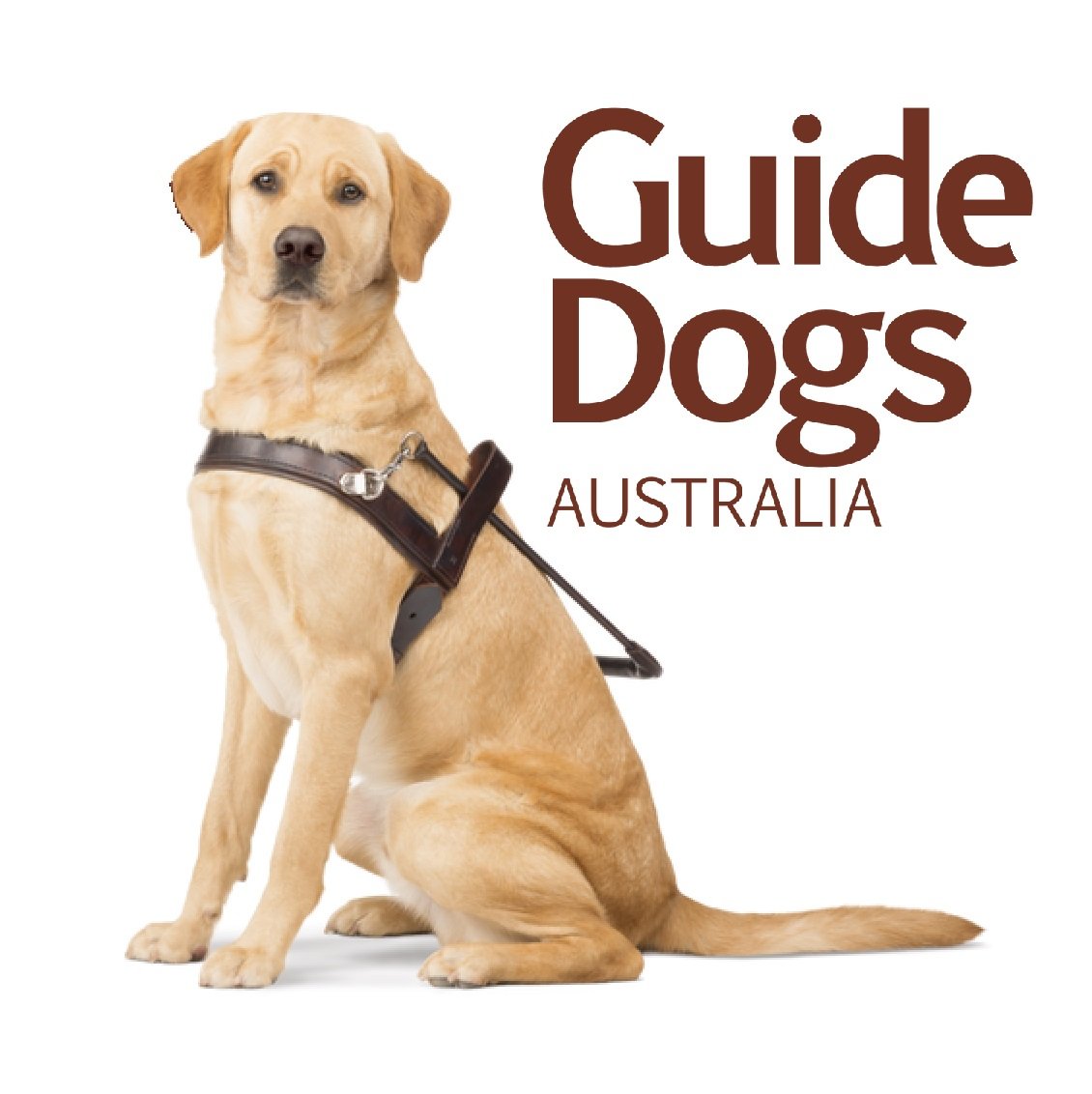 $50 Give to Guide Dogs Victoria (6700 Loyalty Points)