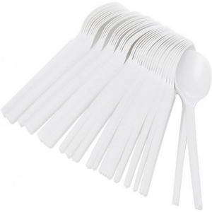 White Plastic Dessert Spoons (100/pack)