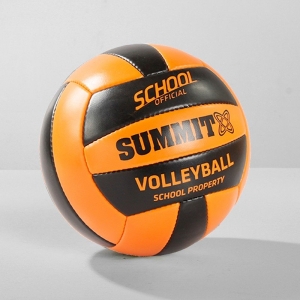 School Volleyball (1400 Loyalty Points)